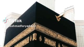 Good video 47