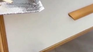 Delicious food 3