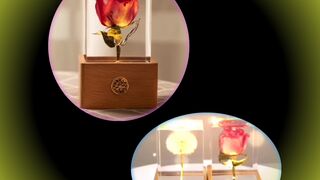 beautiful night lamp