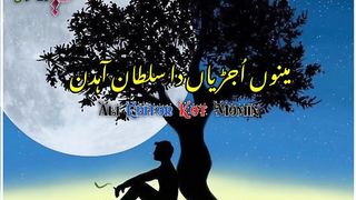 Talib hussain dard 2