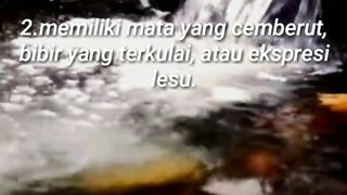 Fakta menarik