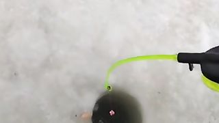 Настоящая борьба. ????