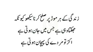 Best urdu Quotes #urduquotes 6