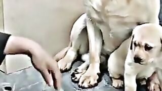 The world cannot give a mother's love