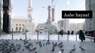  whatsapp status #shorts# viralreels#shortsfeed