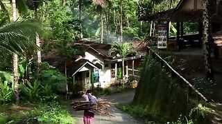 my village 3