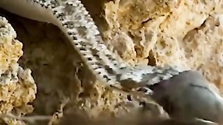THE DATH MOST DANGER
