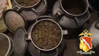 58-летняя жительница Воронежа продавала марихуану в граненых стаканах