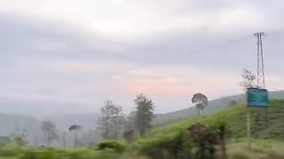 trip in the village
