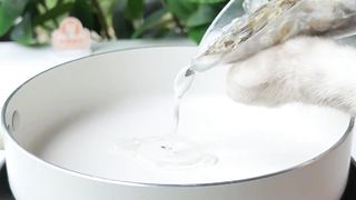 Fish Scale Jelly????, Do You Dare To Try It?