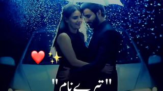 Tery naam 2