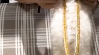Bongolo cat || cute cat| funny cat | dancing cat
