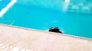 Робот velox который может ходить по песку, льду и плавать под водой. ????
