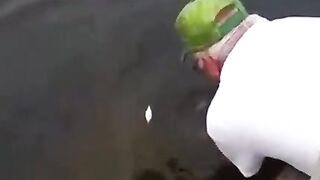 Удочка? Не неслышал ????????