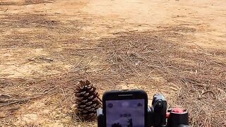 Taking creative photos like this with Pine Nuts