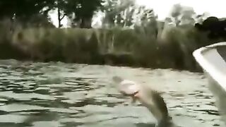 Красивый момент????
