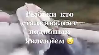 ????????Трофейная рыбалка