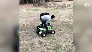 Best Fails of 2023 Compilation