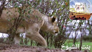 مناظر طبيعية خلابة