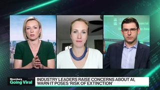 Industry Leaders Say AI Poses 'Risk of Extinction'