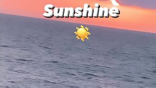 sunshine view