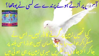 Asman Par Urtey Huwey Prindey Se KisiNe Pucha.#world in focus #@sarifali #syedali