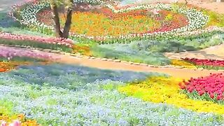 Nature 66