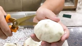 Beautyful snake baby
