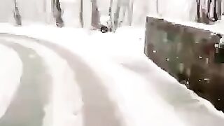 Snow Falling views