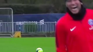 Impressive Training Skills ????
