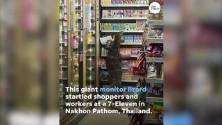 When “Godzilla” roamed the 7-11.