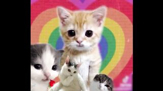 Funniest Cats And Dogs Videos ???? - Best Funny Animal Videos 2023 ???????? #1