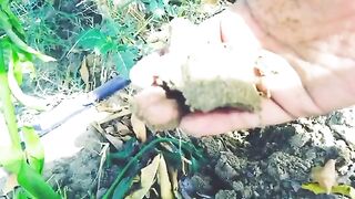 Desert change in garden