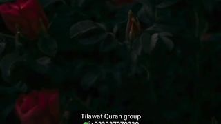 Tilawt Quran 3
