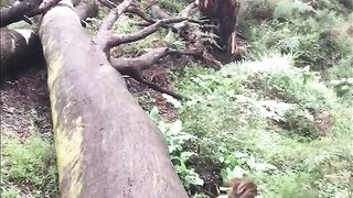 TRY NOT TO LAUGHING I Best Funny Videos Compilation 2023 # 164