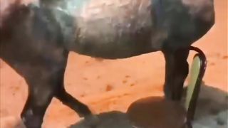 Funny Fails Video Compilation 2023