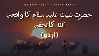 Hazrat Sheesh As ka Waqia | Life of Prophet Sheesh | Sheesh Story Urdu