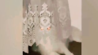 Best Funniest Videos 2023 | Cute Cats and Funny Dogs | #febspot
