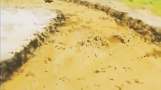 Episode 19 E