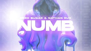ZERO SUGAR & Nathan Rux - Numb