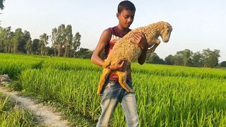 Top new funny reactions comedy ????????