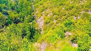 صباح الخیر والعافیہ
