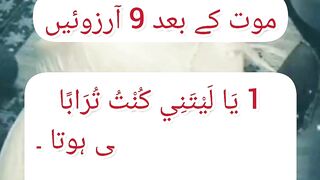 Quran verses 13