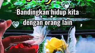 Life motivation 2