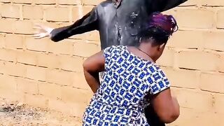 funny vidéo 2023