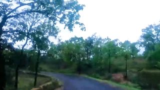 I'm shocked to see Pachmarhi Madhya Pradesh