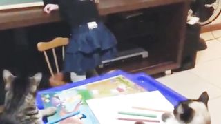 Cute girl as a kitty's teacher ????