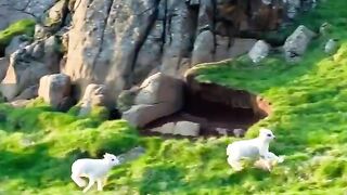 Straight out of a Disney movie ????