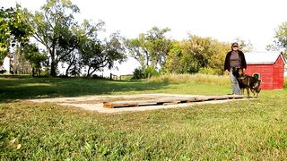 All Dogs Parkour Level 2 Two Raised Boards