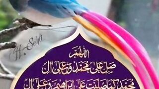 video 98